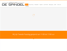 Tablet Screenshot of despindel.nl